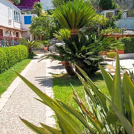 Hotel Bianca 4*